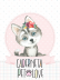 Caderneta PET