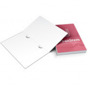 Pasta Apergaminhado 240g com Orelhas Offset 240g 22x30,5cm (Fechada) Colorida por Fora Laminado Opcional Orelhas 